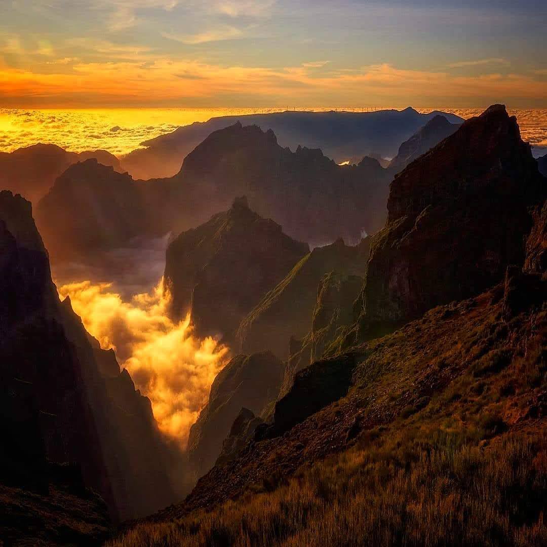 Mensajesluz🕉 tweet media