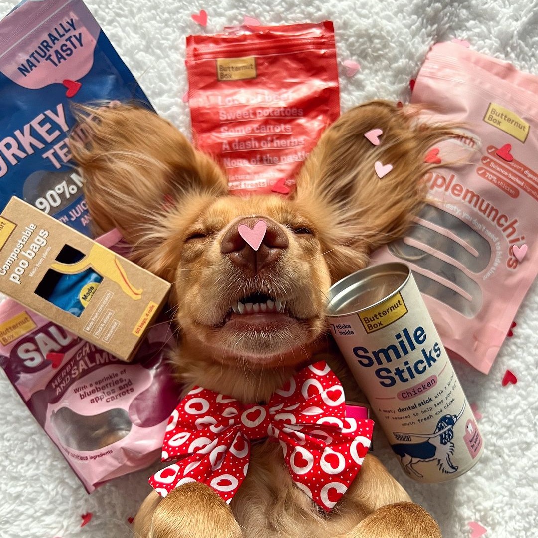 What fills a dog's head when they dream? For Olive, it's all love hearts and... poo bags (we won't judge).