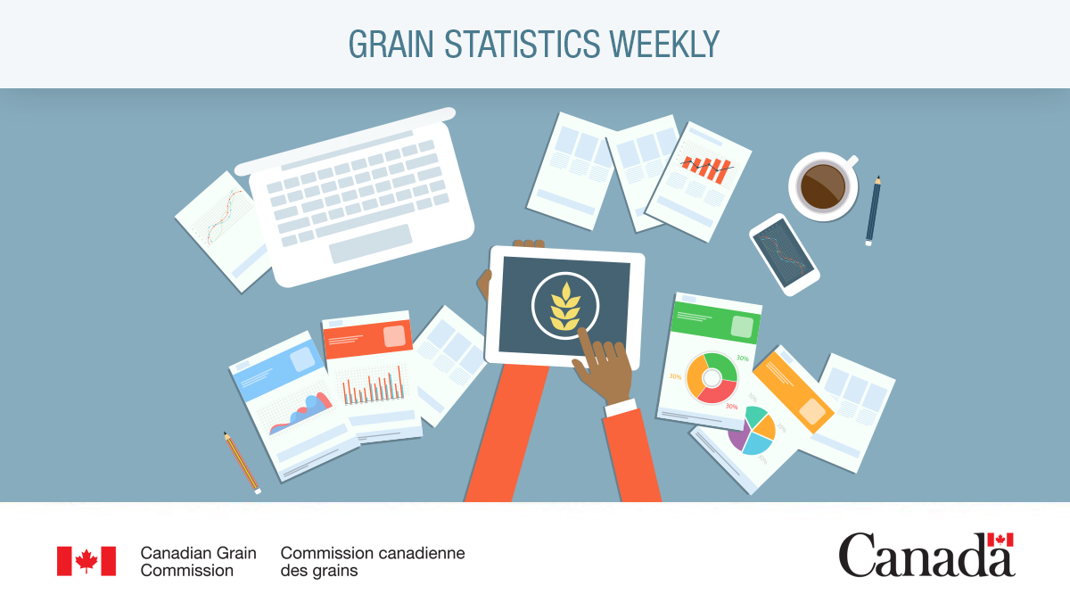 Grain Statistics Weekly for week 35, ending March 31, 2024 ow.ly/pSU650R8Nw0