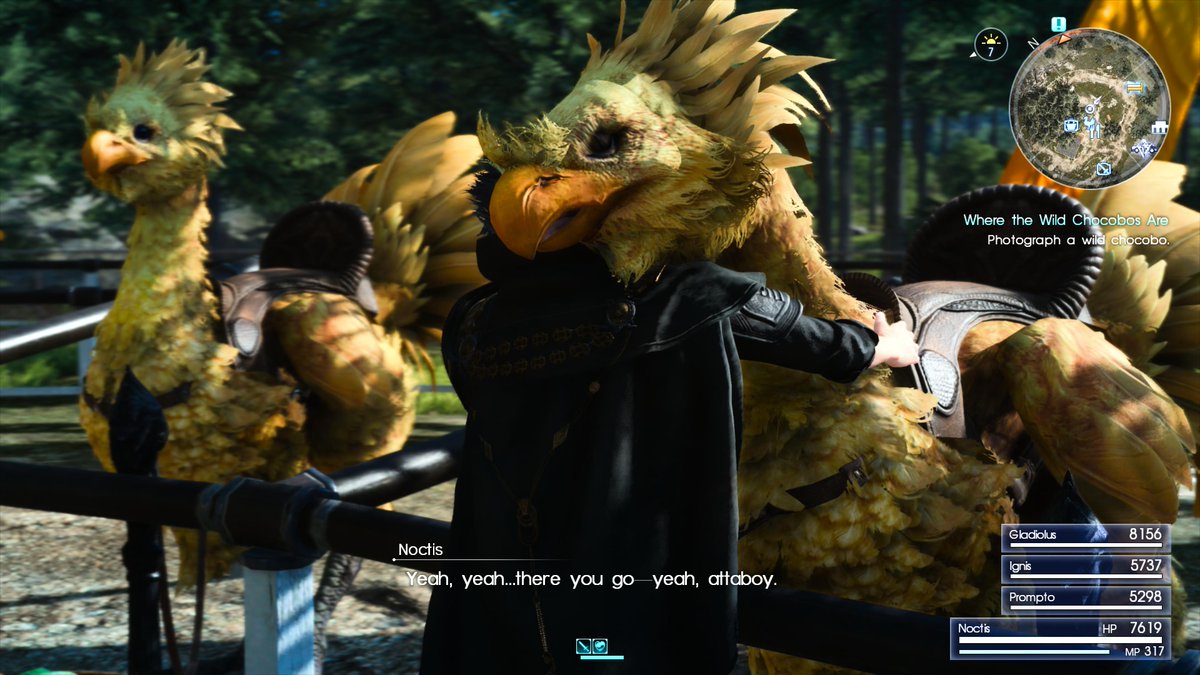 AyushRLgaming's tweet photo. #FinalFantasyXV #FinalFantasy #PS5Share #VirtualPhotography #LuminousEngine Chocobos! https://t.co/hKCWlNx11F