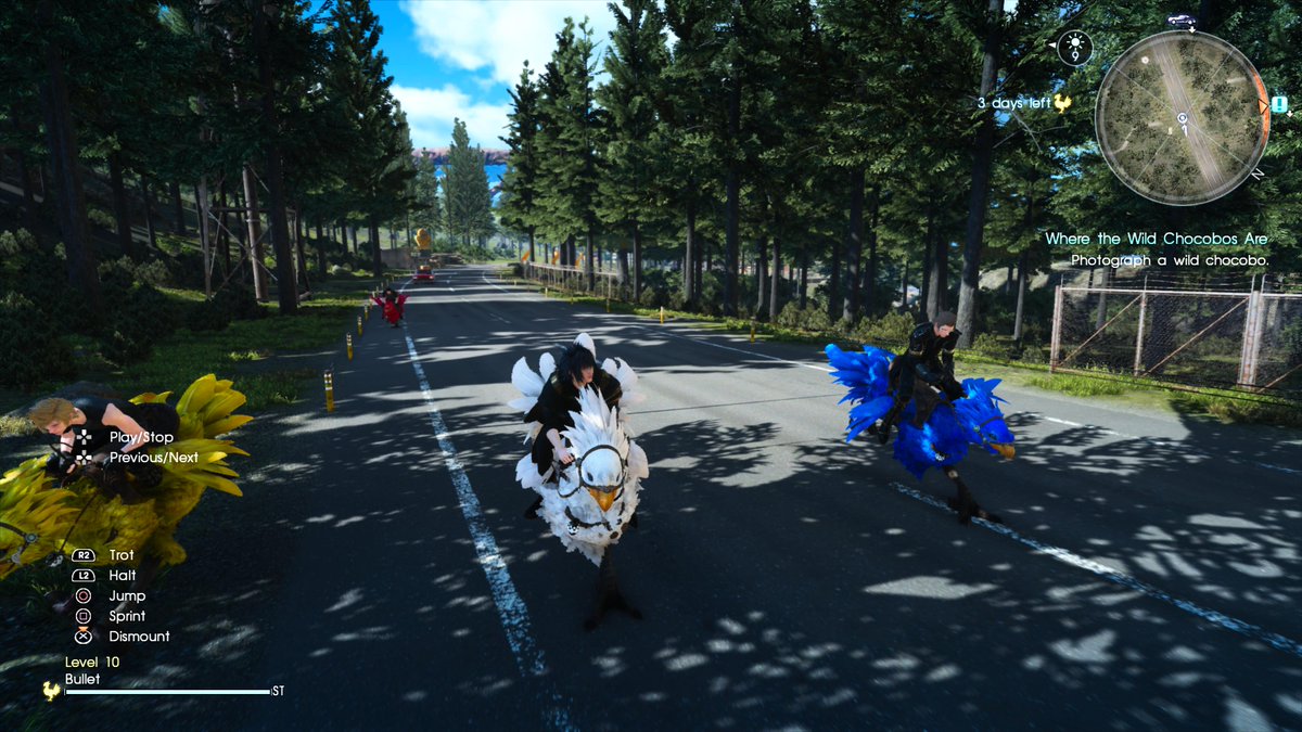 AyushRLgaming's tweet photo. #FinalFantasyXV #FinalFantasy #PS5Share #VirtualPhotography #LuminousEngine Chocobos! https://t.co/hKCWlNx11F