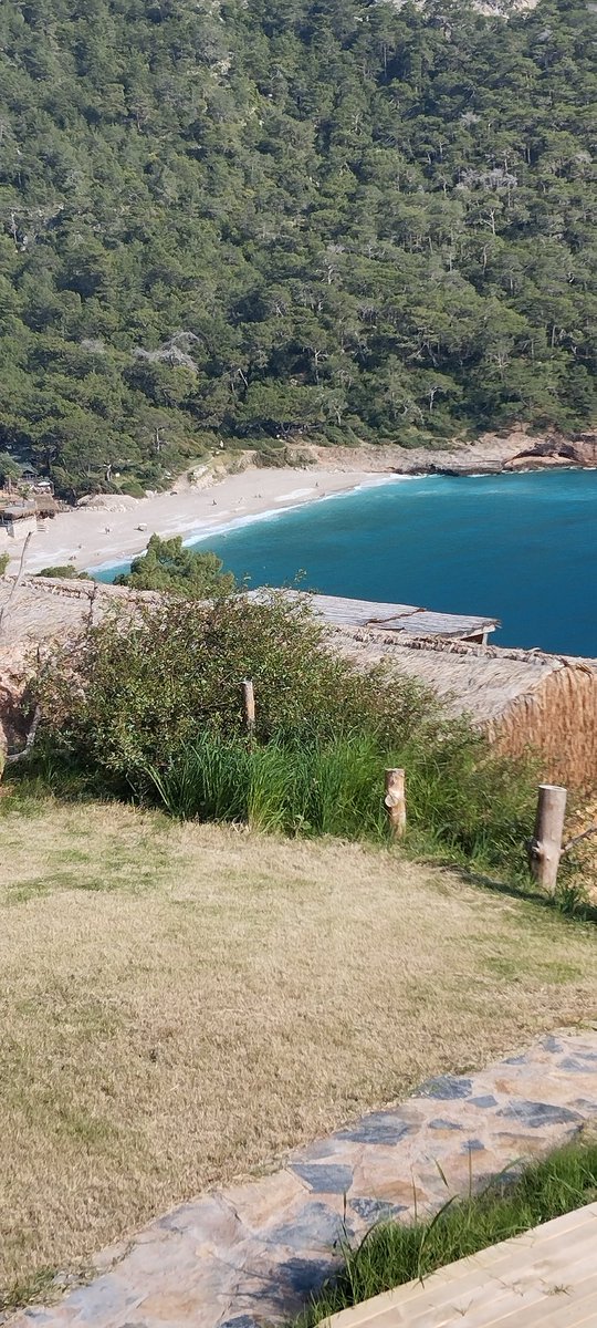 kabak koyundan iyi geceler