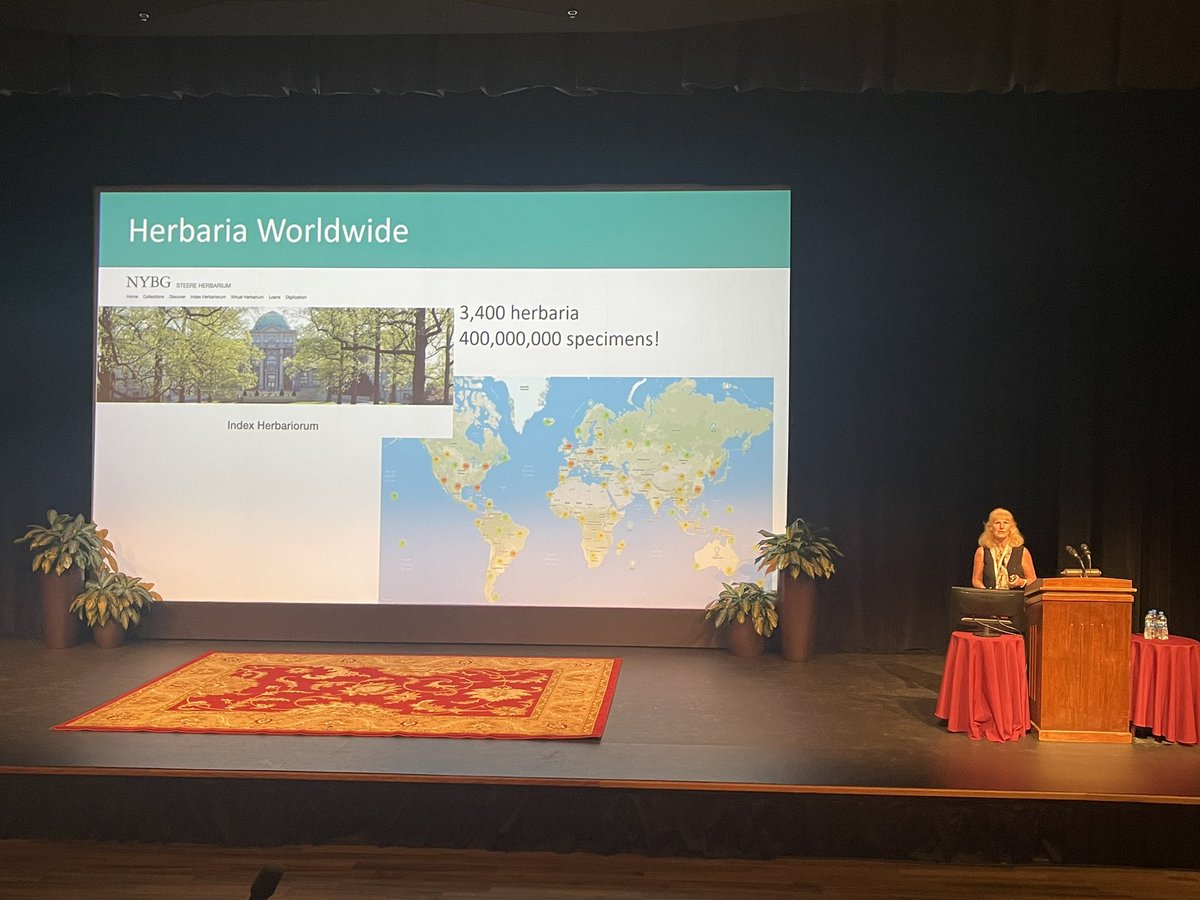 EIStamu's tweet photo. @diukwasserlab Dr. Pamela Soltis giving her talk on Natural history specimens in advanced times. @soltislab https://t.co/Un9IyhzRoL