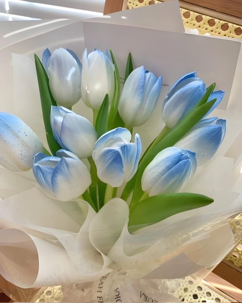 blue roses or blue tulips?