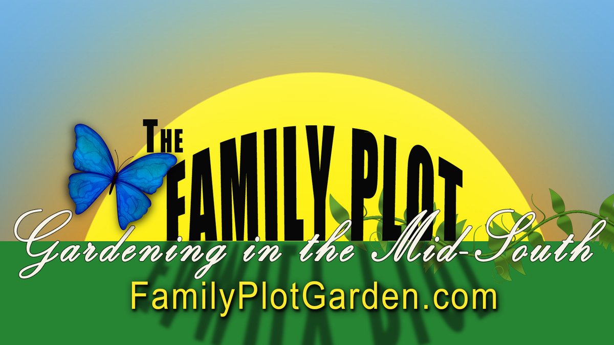 Family_Plot tweet picture