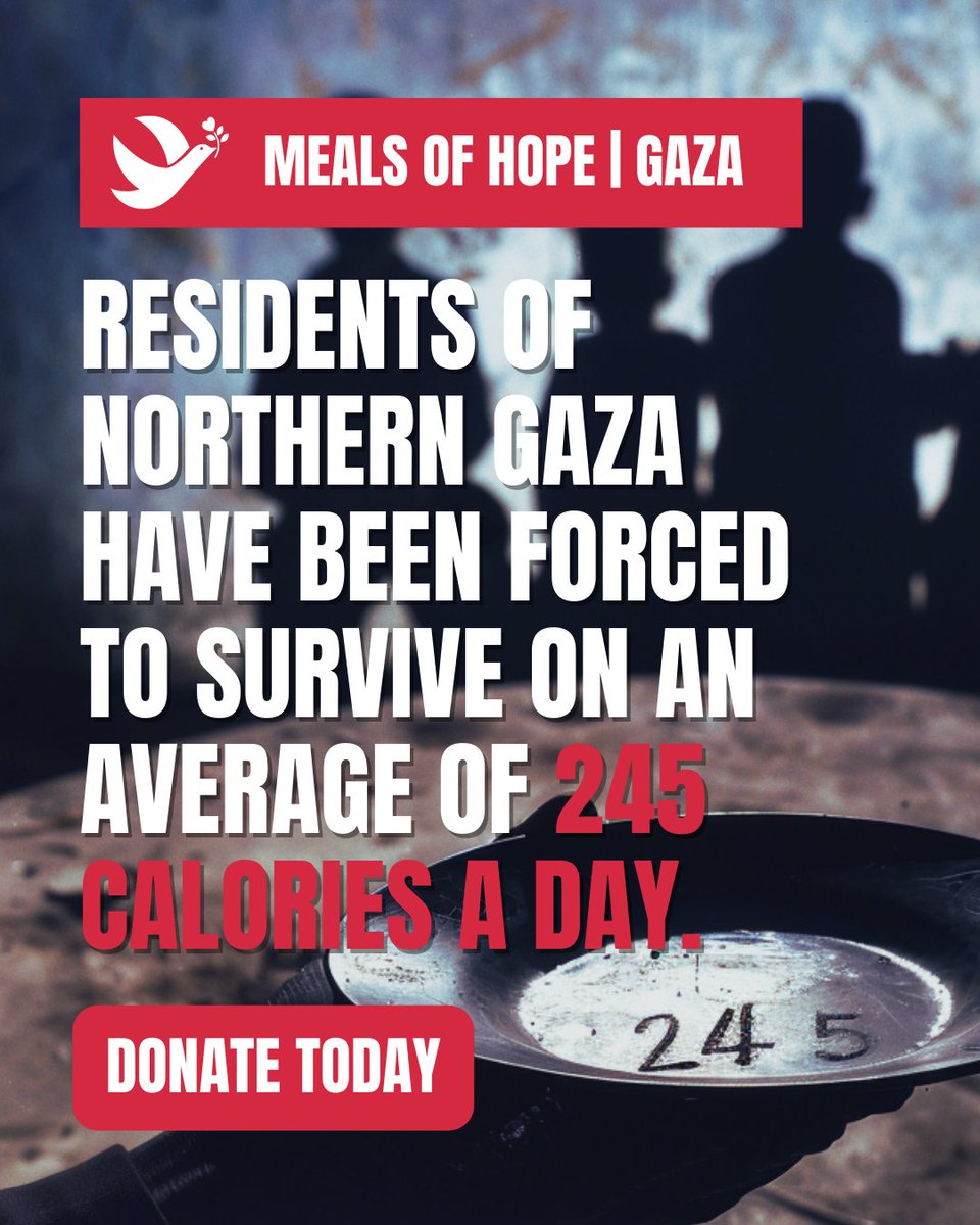 Survival on the Edge: Northern Gaza residents are enduring on merely 245 calories daily. Immediate help is needed. 🍽️ #NutritionalAid #VoiceForTheVoiceless #HelpGazaSurvive #FeedTheHungry #SolidarityWithGaza #EndTheBlockade #LifesavingAid #Ceasefire #FreePalestine