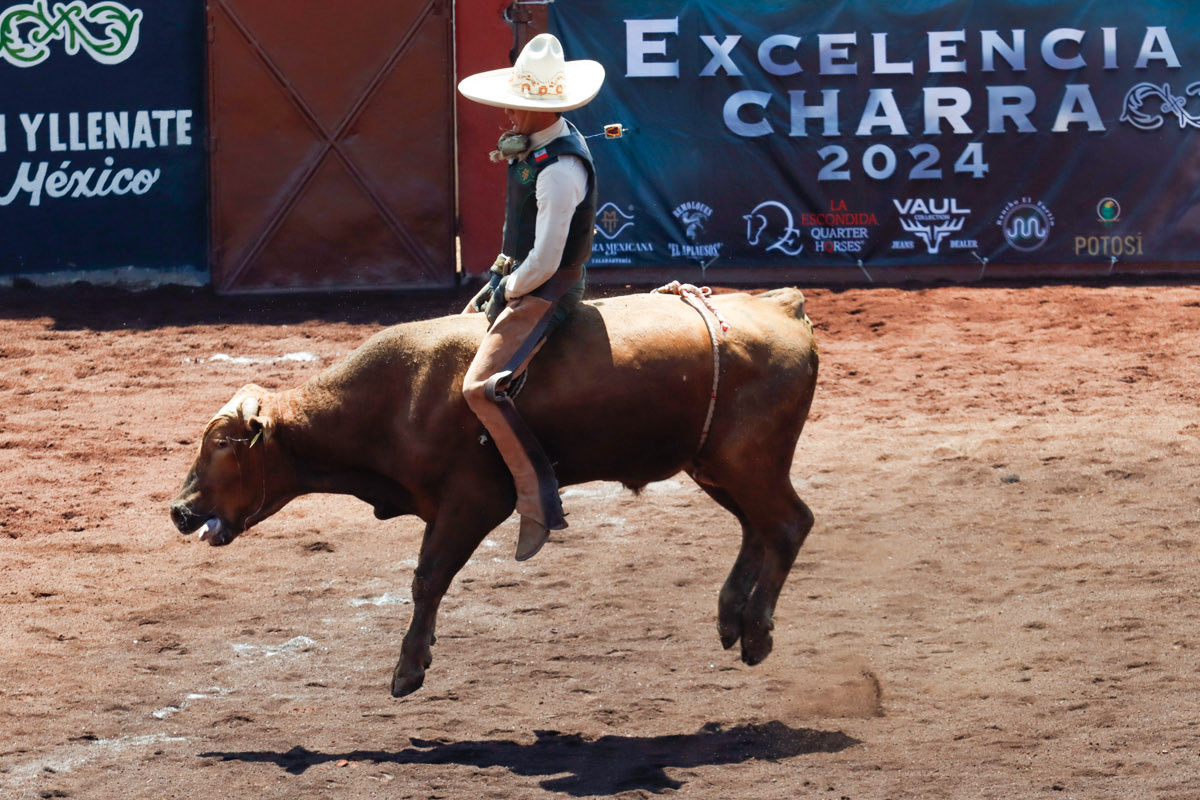 Circuito Excelencia Charra tweet media