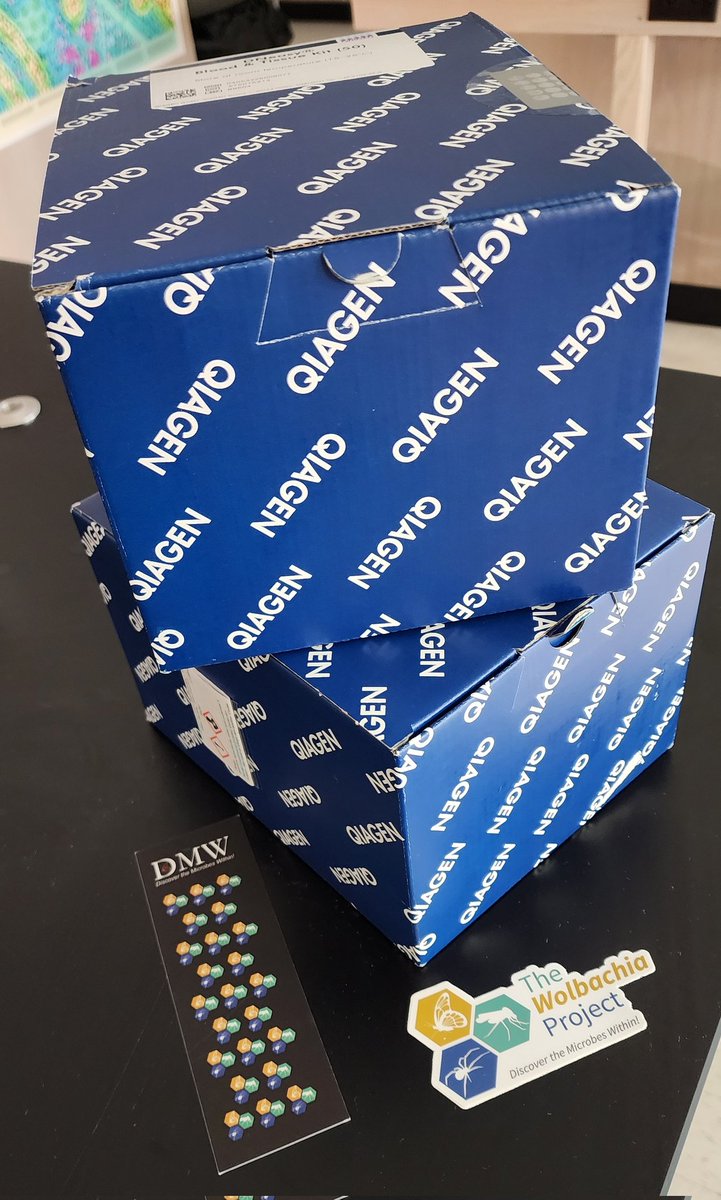 So excited that our Summer Ecology & DNA Camp is not only growing, but we have NEW OPPORTUNITIES for students! Thanks to @WolbachiaProj @QIAGEN & @PSUmBiome ss can now use Qiagen DNA extraction kits to identify insect DNA & search for Wolbachia! @STANYSorg @nature_org @NYSMTP