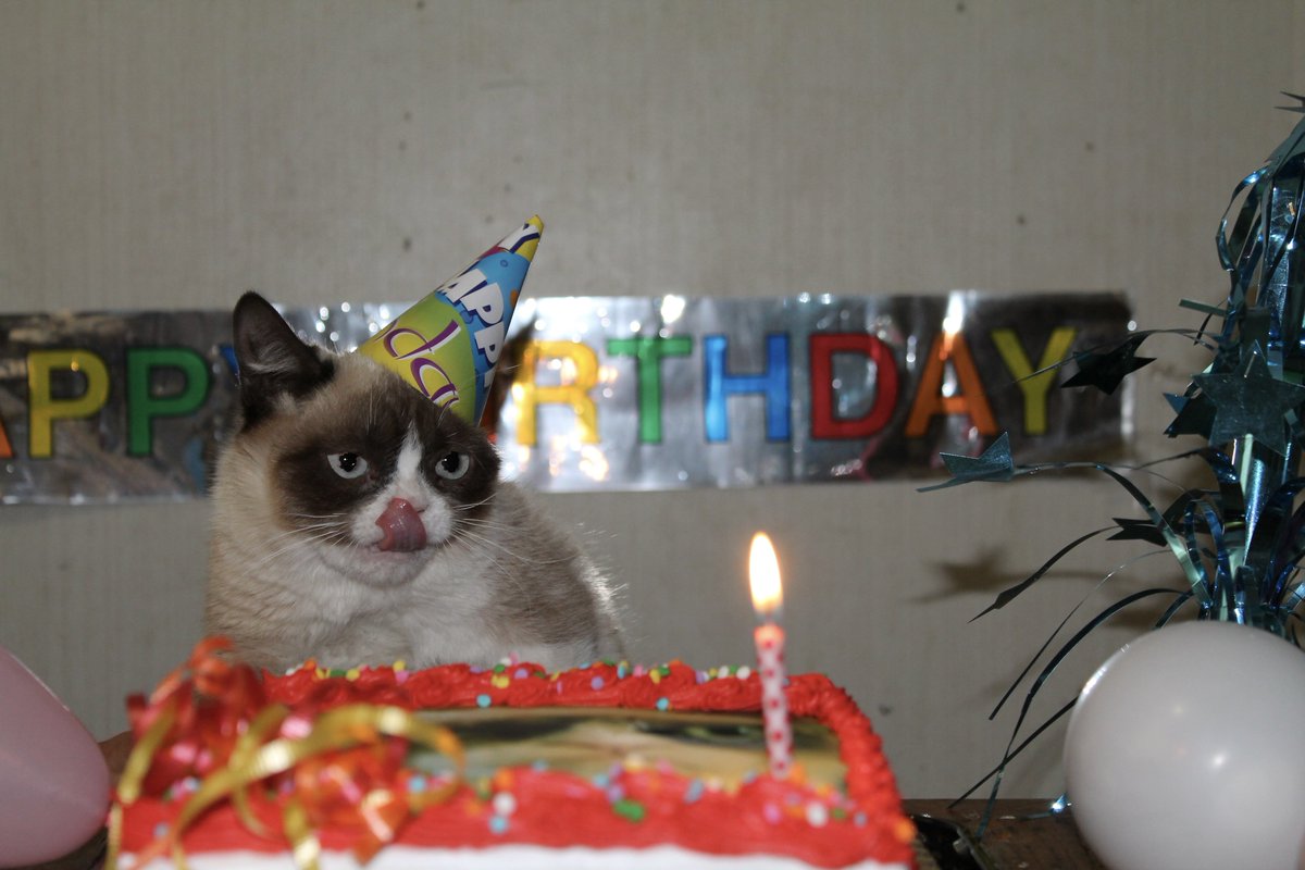 #HappyBirthdayGrumpyCat😾❤️ Born April 4th, Twelve Terrible Years Ago🎂🎉🎁🎈