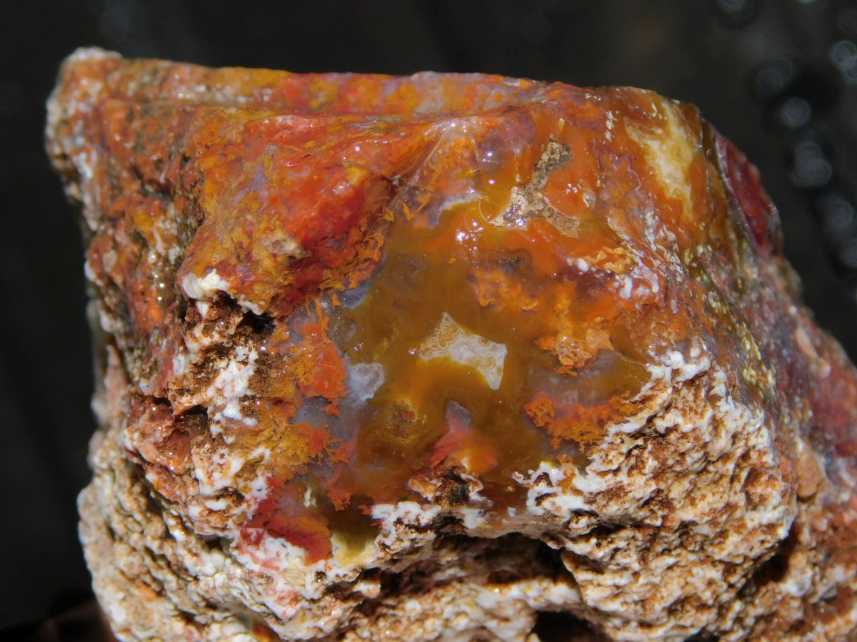 Auctions Ending Tonight!!
ebay.com/str/riverbendl…
#LagunaLaceAgate #TubeAgate #LaceAgate #FlowergardenAgate #Bloodstone #PlumeAgate #BandedAgate #botryoidalAgate #SumatraAgate #carnelian #LajitasAgate #TigerTailJasper #orbicularJasper #sagenite #StillwellRanch #RiverbendLapidary