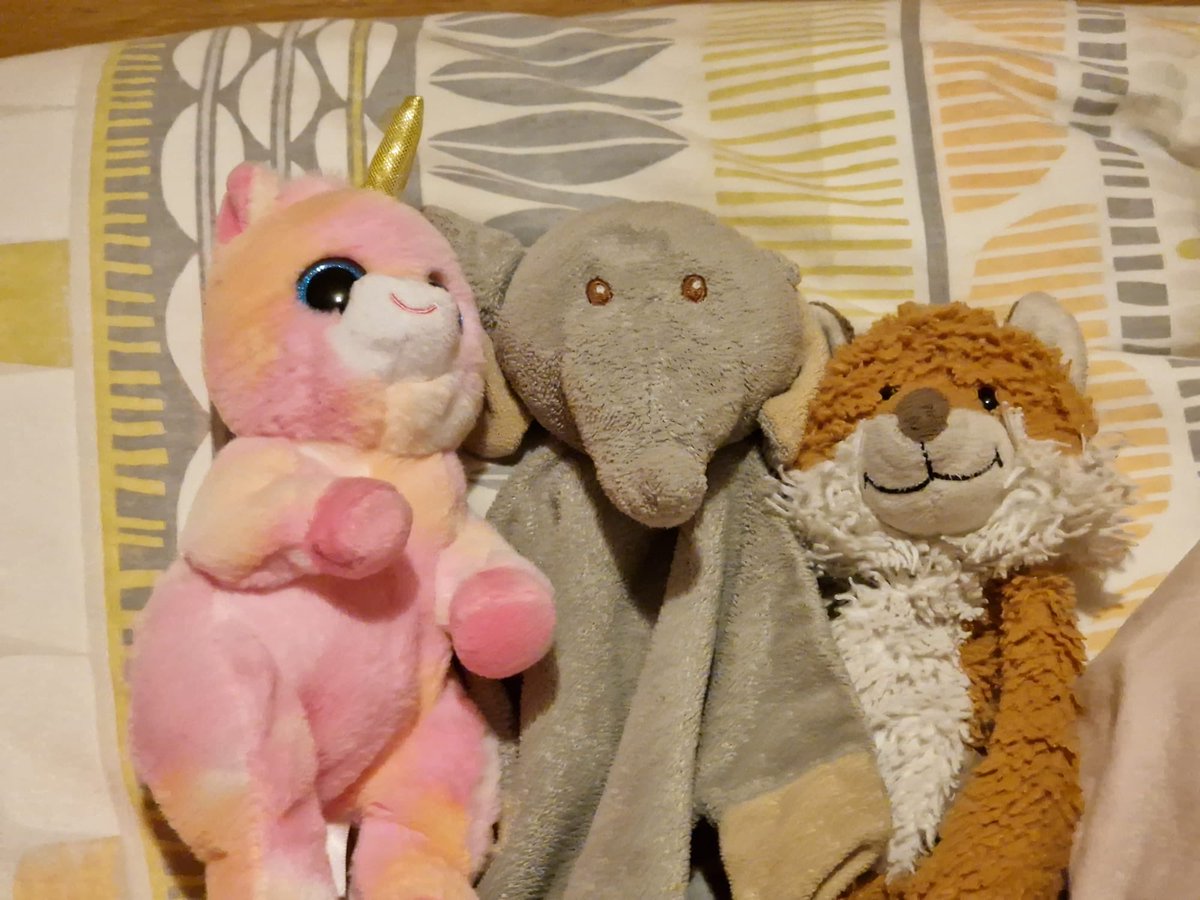 ⁦<a href="/Ryanair/">Ryanair</a>⁩ ⁦@askryanair⁩ MISSING TEDDY!! URGENT 🚨 we lost the elephant on our journey from Newcastle (1.05pm) to Milan today. Sat in row 22 on the flight. Ellie definitely got on the plane! Can you help us find her?