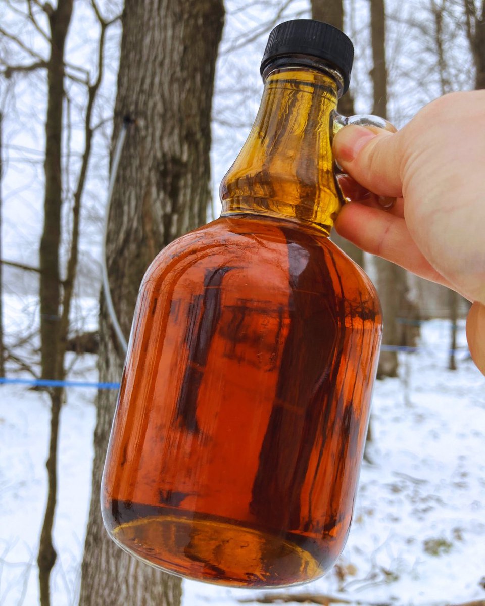 Upcoming Event: Maple Weekend at Nicholls Farms &amp; Maple Syrup on April 6 &amp; 7, 2024 from 10:00am – 4:00pm. 📅🍁🌳
Come tour the sugar bush, see how their family-run operation works, and sample some of this years freshest maple syrup. Be sure to bring your rubber boots!