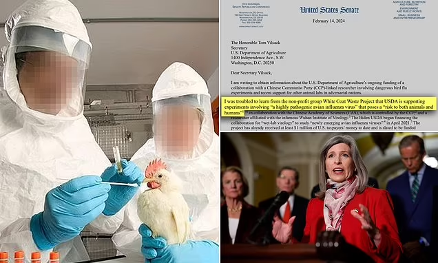 FLASHBACK:⚠️ The US joins forces with Chinese researchers in a $1 million initiative to ENHANCE THE INFECTIOUSNESS AND LETHALITY OF BIRD FLU strains, despite major concerns over past experiments potentially triggering Covid... The US government is allocating $1 million from