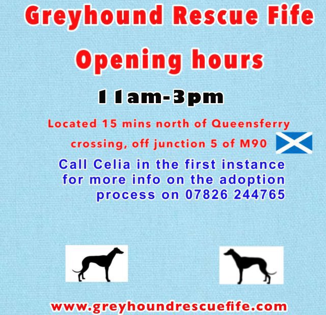 GreyhoundRFife tweet picture