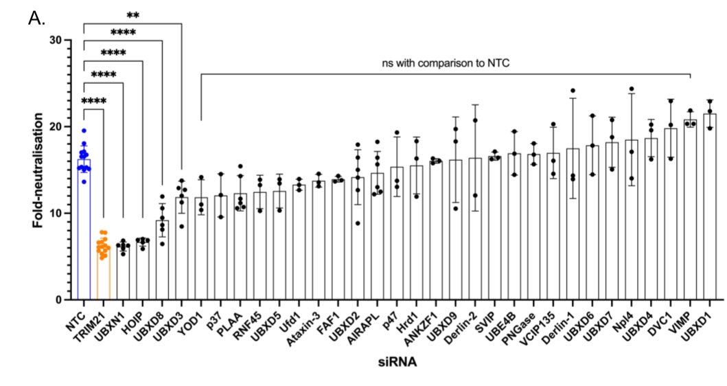 An unexpected role for linear ubiquitin in TRIM21 biology. Chris Green (ex-X) found that HOIP, the E3 ligase that makes linear Ub chains, is needed for efficient neutralisation of viruses. biorxiv.org/content/10.110…