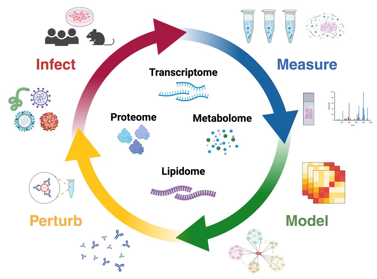 Check out our latest article in <a href="/ScientificData/">Scientific Data</a> providing #openaccess to a large collection of #multiomics data representing the global host immune response to lethal #virus infection for #sharing &amp; #reuse. Read the full article 👉 rdcu.be/dDl7Y 🎉 <a href="/PNNLab/">Pacific Northwest National Laboratory</a> #OpenScience