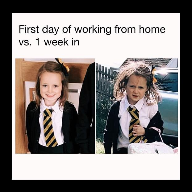 easyretrohq's tweet photo. Can you relate to that?π
Let us know in the comments!
We looked on the internet and collected 25+ Remote Work Memes.
Click here to check: https://t.co/4M0LVLRoNg
#wfh #workfromhome #remote #remotework #remoteworking #agile #scrum #zoom #developers #remotejobs #remoteuk https://t.co/FTgsOkdIhf