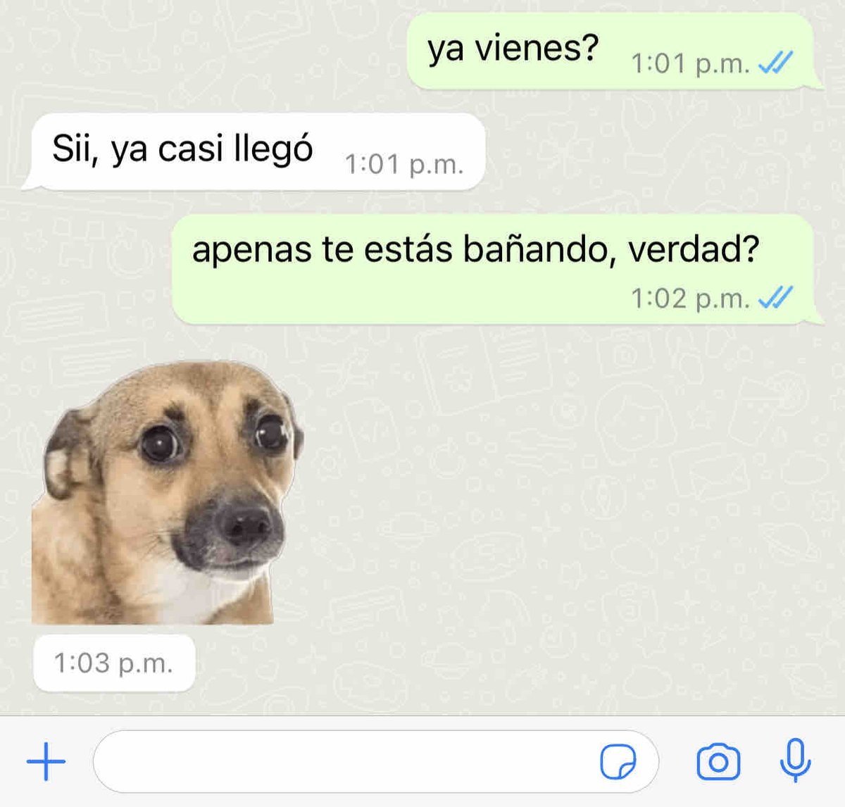 El Guarromántico tweet media