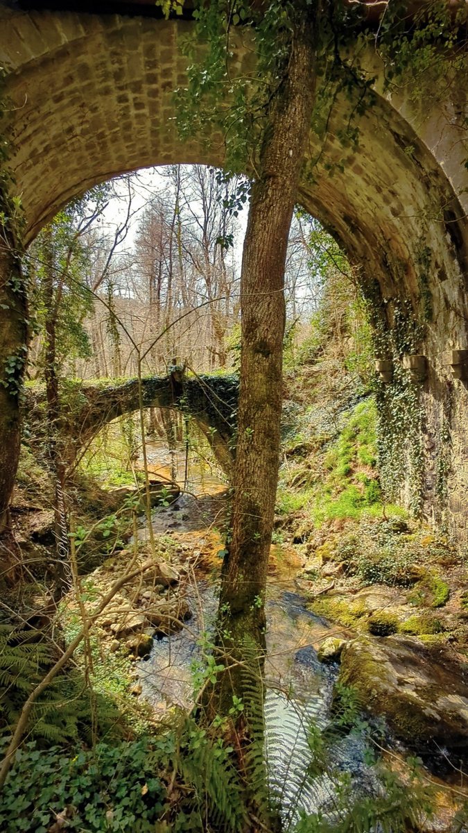 Le printemps prend le dessus...

#BridgesThursday #Trees
#ThePhotoHour
#NaturePhotography
@keeper_of_books 
#MagnifiqueFrance