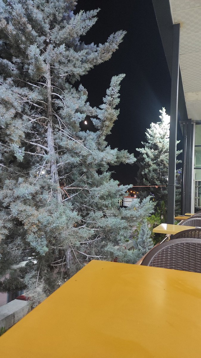 jojojaguarr's tweet photo. hayır uzun otobüs yolculuğu güzellemesi yapamam🥲🥲 https://t.co/jVzMHCJKvE