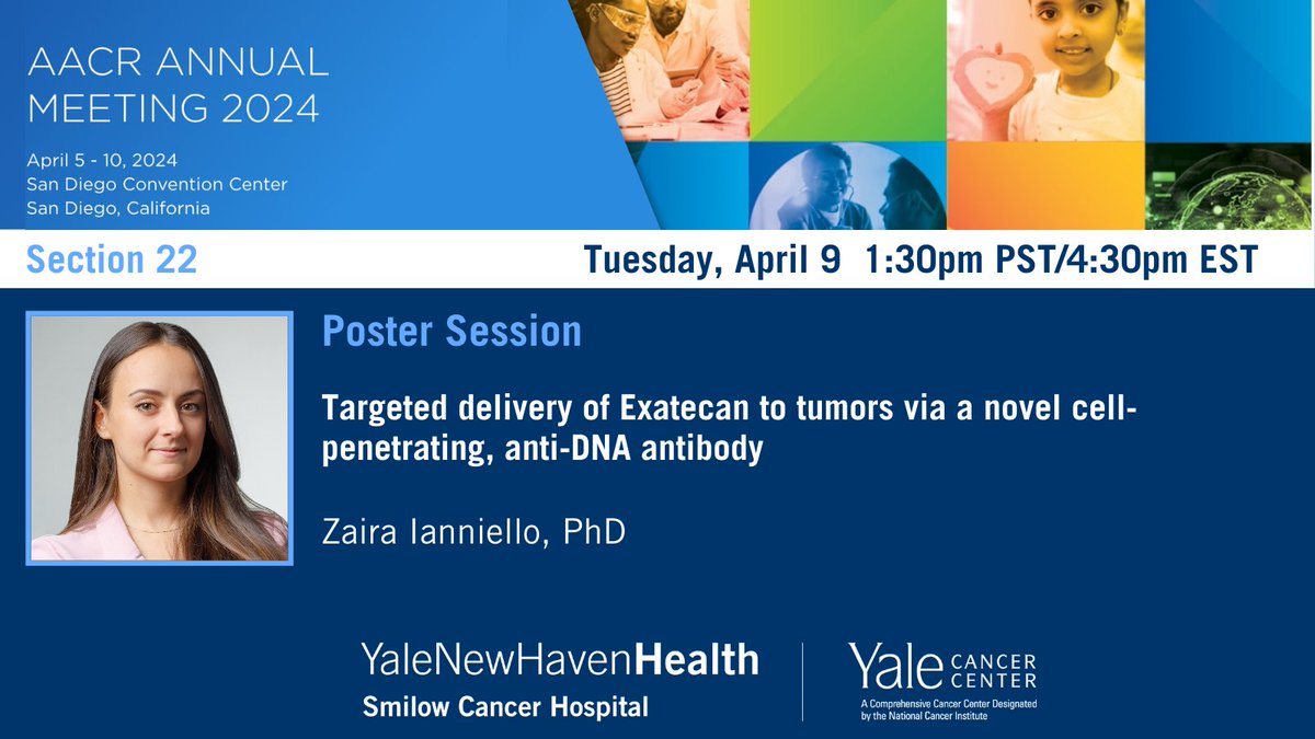Dr. Zaira Ianniello @GlazerLab will present a research poster showing how V66-Exatecan achieves targeted treatment of tumor cells, where it induces DNA damage leading to cell death. abstractsonline.com/pp8/#!/20272/p… @SmilowCancer @YaleMed @YNHH @YaleRadOnc