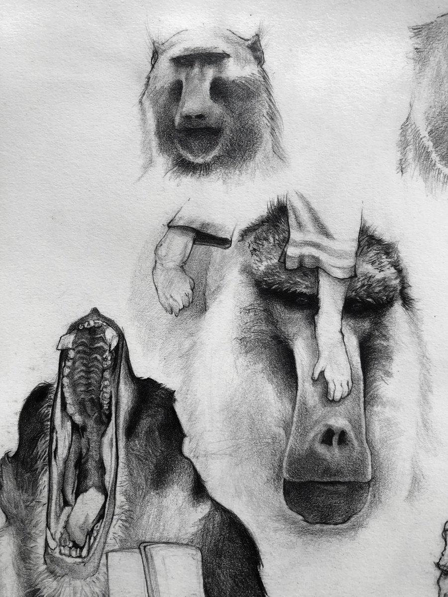 📕 2024 sketchbook WIP - Things are coming together - Graphite on drawing paper 

#GraphiteDrawing #PencilDrawing #Drawing #Art #Sketch #PortraitDrawing #ArtistOnTwitter