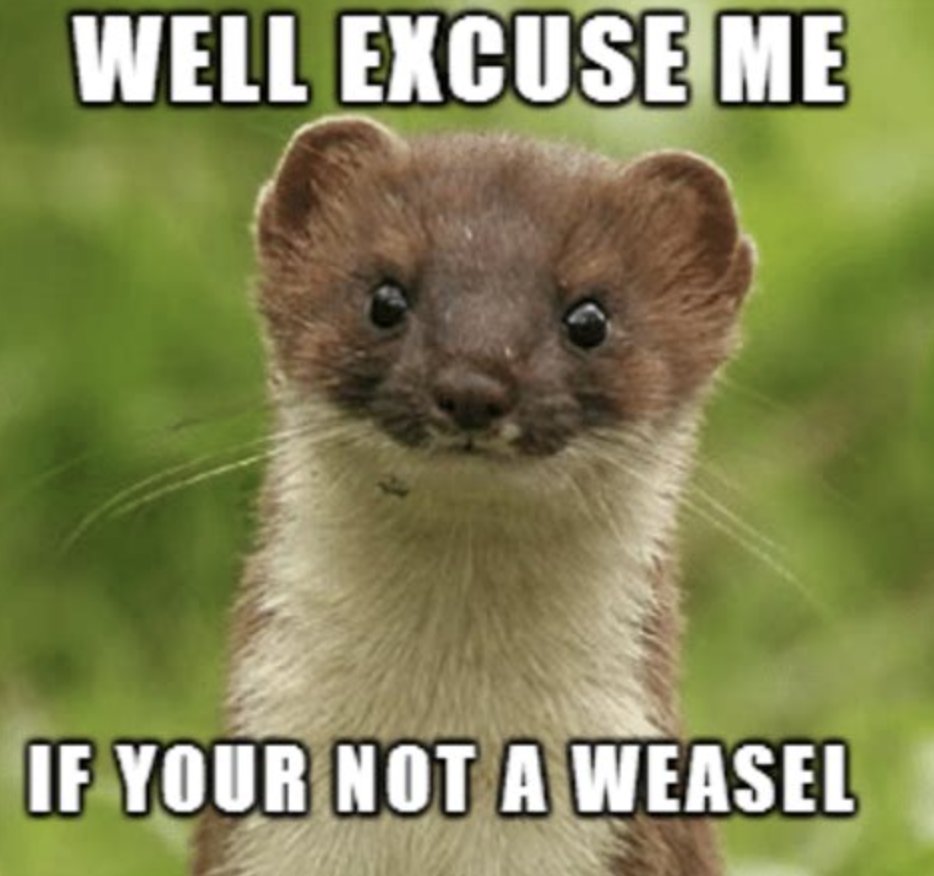 Weasels Syndicate tweet media