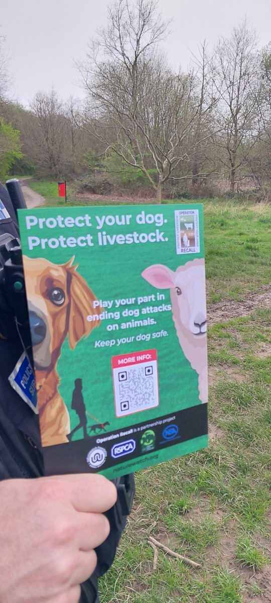 PCSOs Wilkinson and Freeman were out at various green spaces in the borough this afternoon speaking to dog owners about responsible on-lead dog walking in rural areas to reduce livestock worrying.