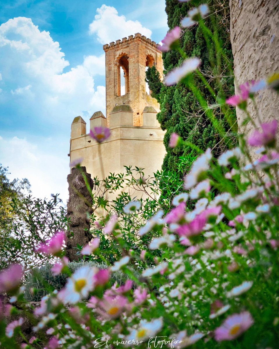 Un paseo por Badajoz❤️
.
.
.
.
.
<a href="/eventos_en_extr/">EVENTOS EN EXTREMADURA</a> <a href="/Extre/">Carlos</a>madura_tur <a href="/AmarExtremadura/">Amar Extremadura</a> <a href="/Badajoz_Marwan/">۞ Ibn Marwán ۞</a> <a href="/Eresdebadajozsi/">EresdeBadajozsi</a> <a href="/ReyMutawakkil/">Mutawakkil</a> <a href="/TurismoBadajoz/">Turismo Badajoz</a> <a href="/viajarporextrem/">ViajarPorExtremadura</a> <a href="/spain/">Spain</a> @afe_fotos twitt <a href="/AmigosDeBadajoz/">Asociación Amigos de Badajoz</a> <a href="/SOSCABadajoz/">SOS CASCO ANTIGUO BA</a> <a href="/BarreraGragera/">Ignacio Gragera 🇪🇦</a> @Extre _Diaria