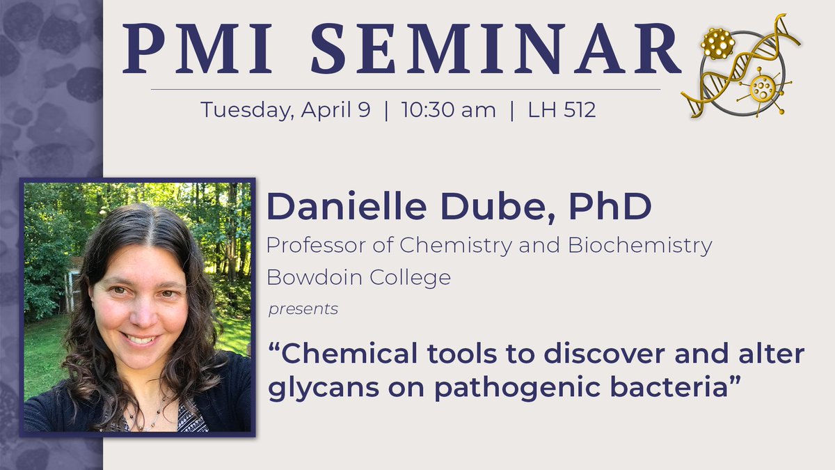 Join us for our #PMISeminar next week featuring Danielle Dube, PhD from @BowdoinCollege! 🗣️ 'Chemical tools to discover and alter glycans on pathogenic Bacteria' 📆 4/9 🕛 10:30 am 📍 LH 512