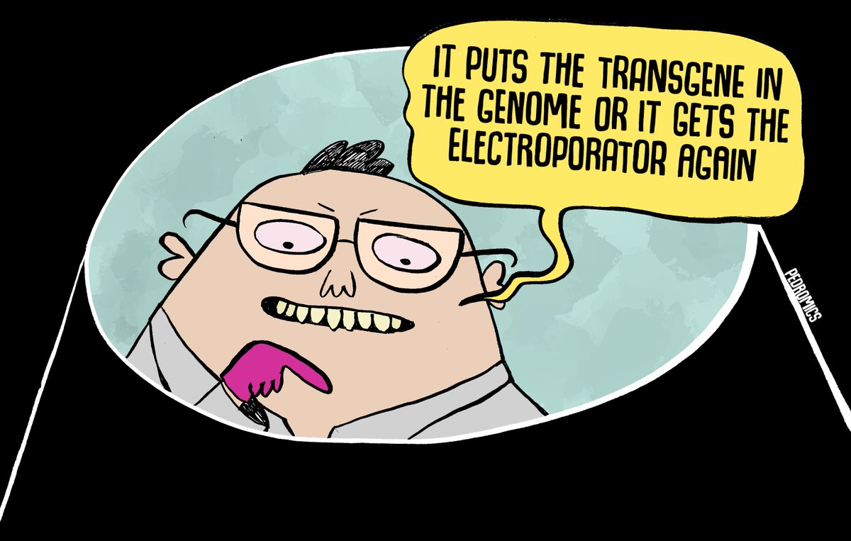 pedromics's tweet photo. And I say, "Oh no sir I must say you're wrong
I must disagree, oh no sir, I must say you're wrong" https://t.co/g5O2hghgV1