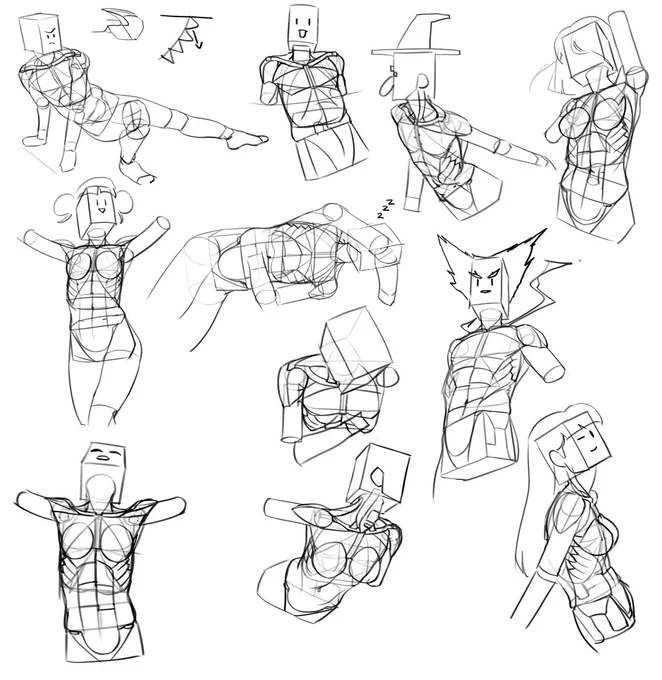 Torso studies 