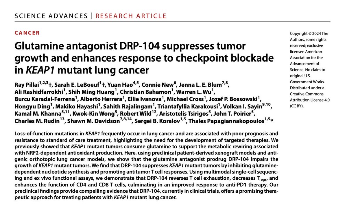 Dr. Ray Pillai is lead author on this paper in @ScienceAdvances, describing glutamine antagonist DRP-104 suppression of tumor growth and response to checkpoint blockade in KEAP1 mutant #Lungcancer 🔓 bit.ly/4cIaNZp