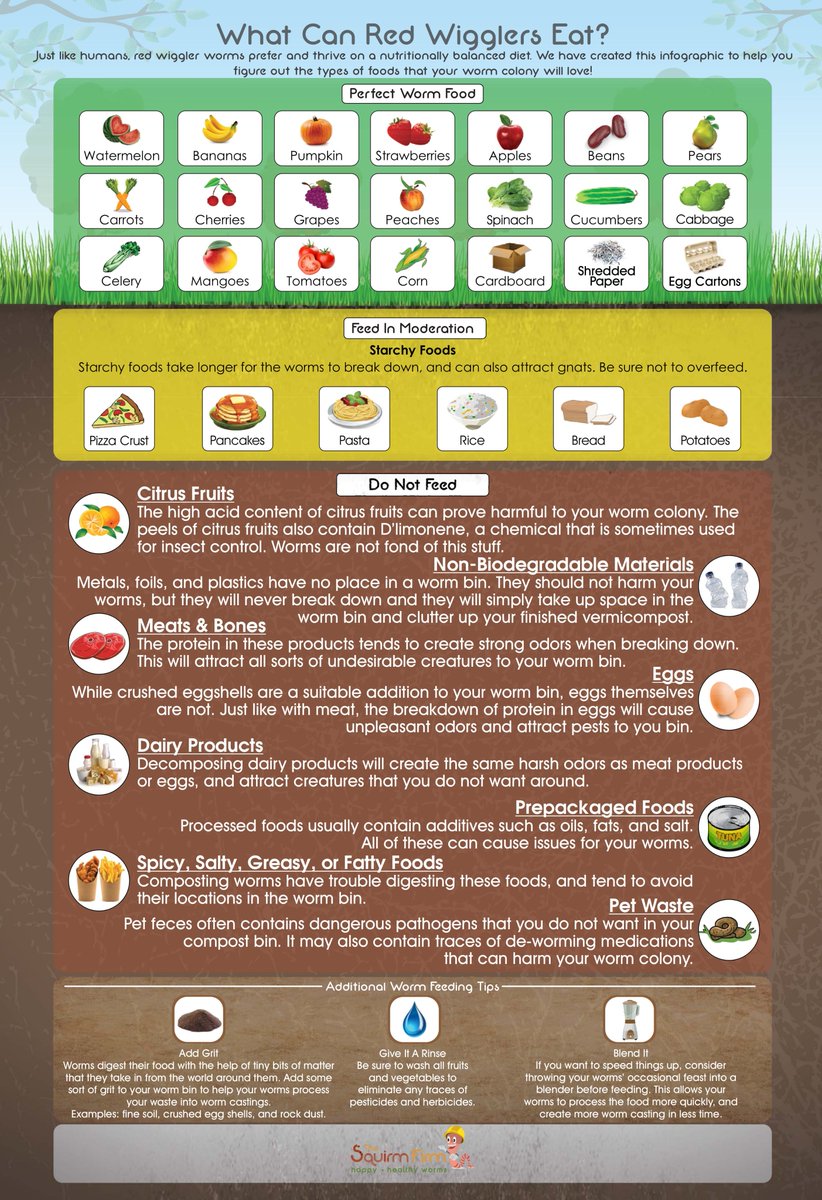 Can we recycle food scraps like we do paper, metal, glass, and plastics to make new things? 

We love discussing #vermicomposting food scraps in the classroom! Composting turns scraps into fertilizer for enriching the soil. Sorting what worms like and don't like was so fun 🪱.