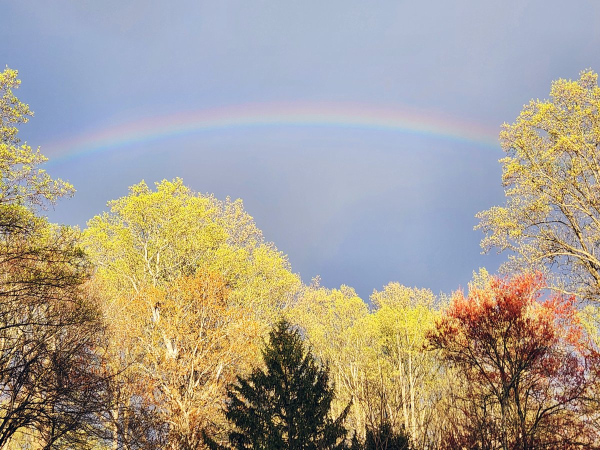 A fleeting rainbow this evening in Oakton, Va. @capitalweather