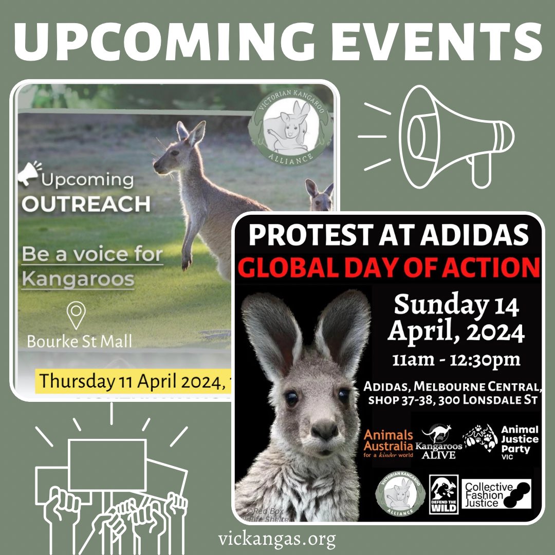 We have two #kangaroo advocacy events next week ✊

MONTHLY OUTREACH 
Thurs 11 April, 11am-1pm
Bourke St Mall

ADIDAS PROTEST  
Sun 14 April, 11am-12.30pm
Melbourne Central

More info 👉 vickangas.org/blog/f/next-we…

🙏🏽🦘

#stopkillingkangaroos #endwildlifetrade #kangaroosarenotshoes