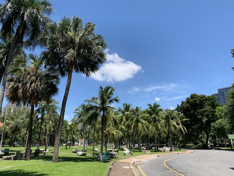 Where to see #palms... Lumphi Park, Bangkok, #Thailand. 📷: Sergei Gussev CC BY 2. #Where2CPalms