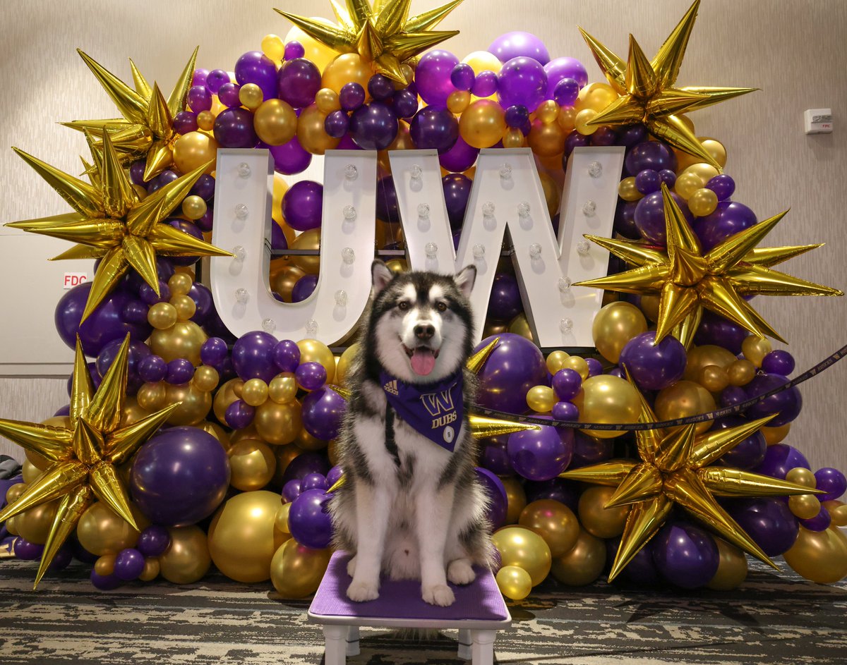 Thank you so much to everyone who has supported the Information School for #HuskyGivingDay! Please keep up the support! We're currently at 32 gifts and counting. Go Dawgs! bit.ly/ischool-hgd-24