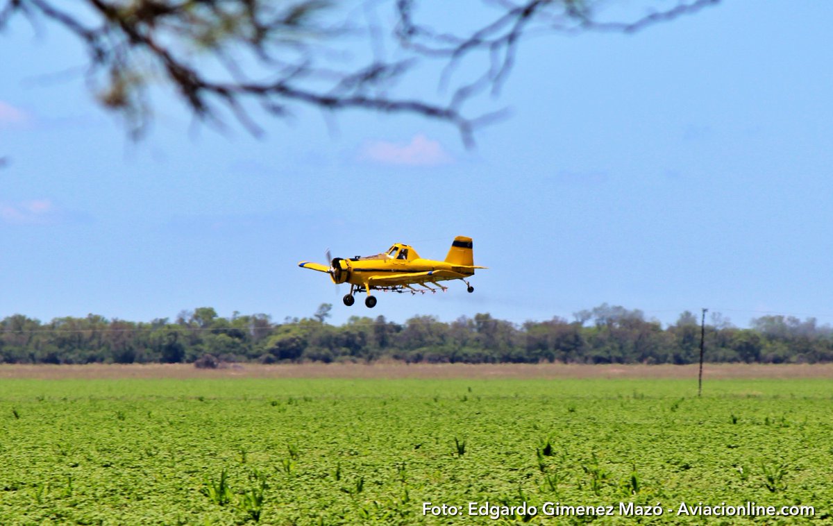 aviacionline's tweet photo. La aviación contra el dengue: proponen usar aviones para fumigar zonas afectadas en Argentina https://t.co/qRt0MZzXCP https://t.co/e5qemw8VW0