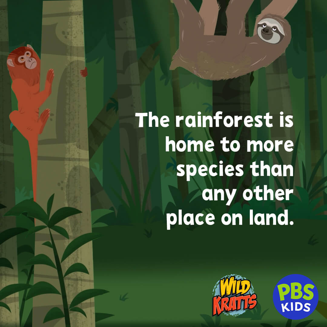 Blue and green aren't just colors, they're a way of life for some of nature's coolest creatures! What's the most fascinating blue or green animal fact you know? @WildKratts_TV