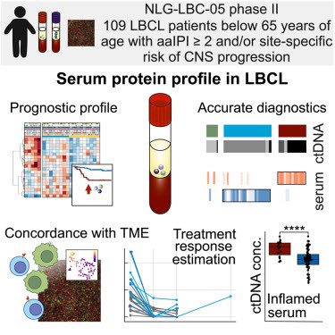 Happy to share our work Inflammatory and subtype-dependent serum protein signatures predict survival beyond the ctDNA in aggressive B cell lymphoma sciencedirect.com/science/articl… just published online in #CellPress journal #MED @Merijellona @LeivonenSuvi @MJerkeman