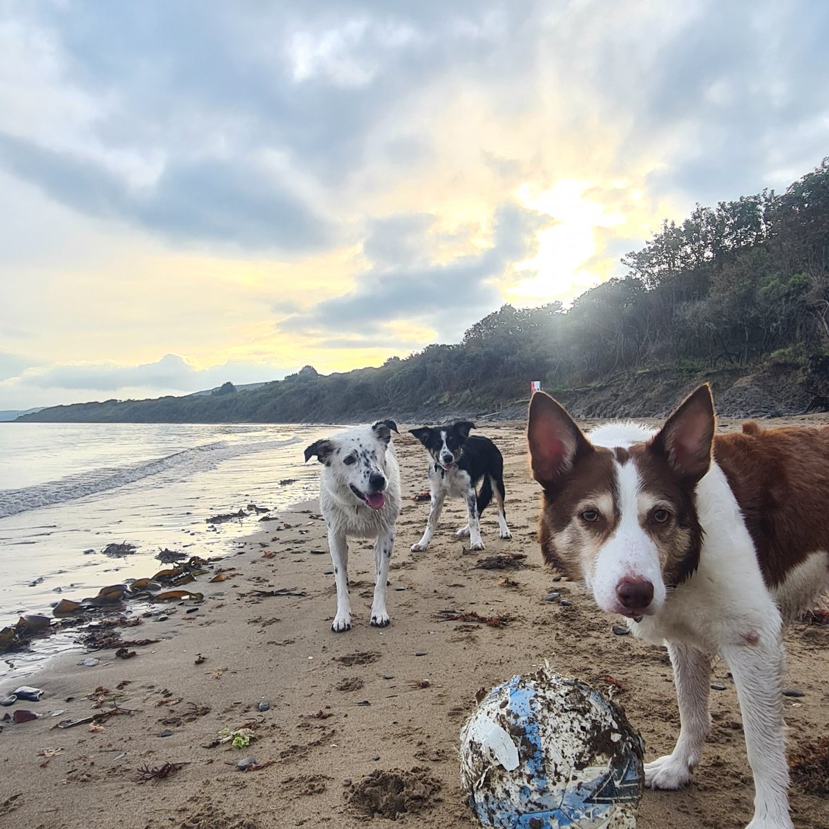 MsVic71's tweet photo. @Phil_Sledge Seren (last ever beach holiday) Eira &amp; Bud https://t.co/RcWmErFB63