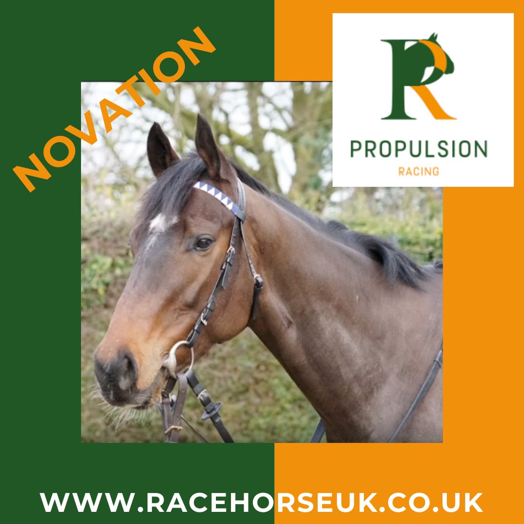Introducing @ProRacingUK and Novation, their 3yo gelding by Havana Grey.🏇This big framed horse has shown great promise and will undoubtedly provide his owners with lots of fun and excitement.🤩In training with @GayKelleway. racehorseuk.co.uk/horse-detail/?… #racehorse