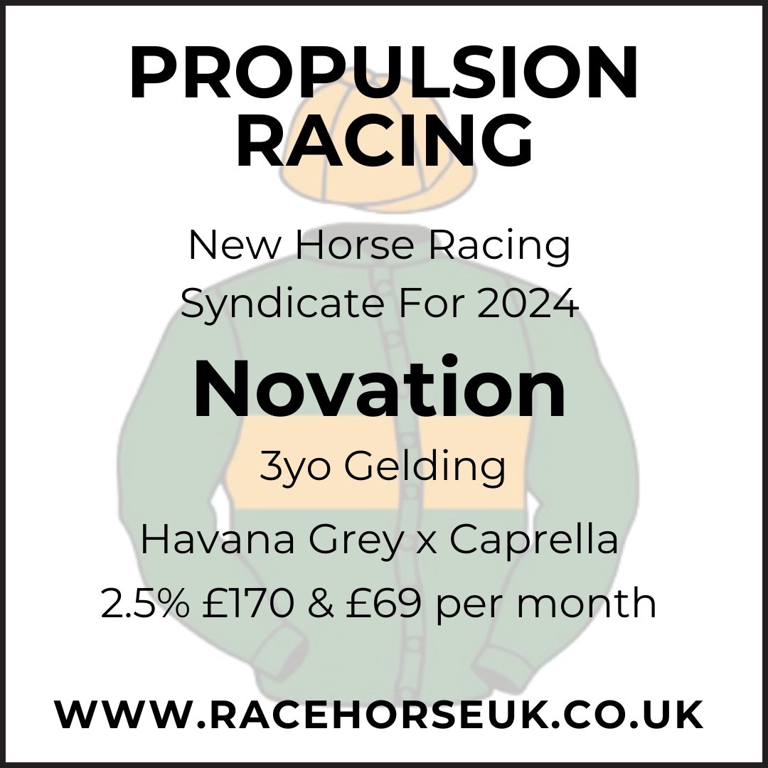 Introducing @ProRacingUK and Novation, their 3yo gelding by Havana Grey.🏇This big framed horse has shown great promise and will undoubtedly provide his owners with lots of fun and excitement.🤩In training with @GayKelleway. racehorseuk.co.uk/horse-detail/?… #racehorse