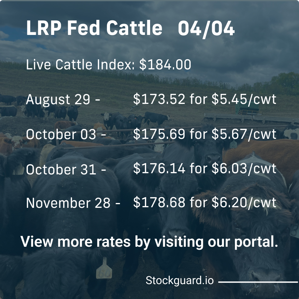 Stockguardinfo's tweet image. Thursday, April 4th LRP Rates: Stay current on today&apos;s live and feeder cattle rates–don&apos;t fall behind on the market! View live rates: hubs.ly/Q02rT_Vm0

#LivestockRiskManagement #RiskManagementTools #LivestockSafety #FarmersProtection #LivestockInsurance