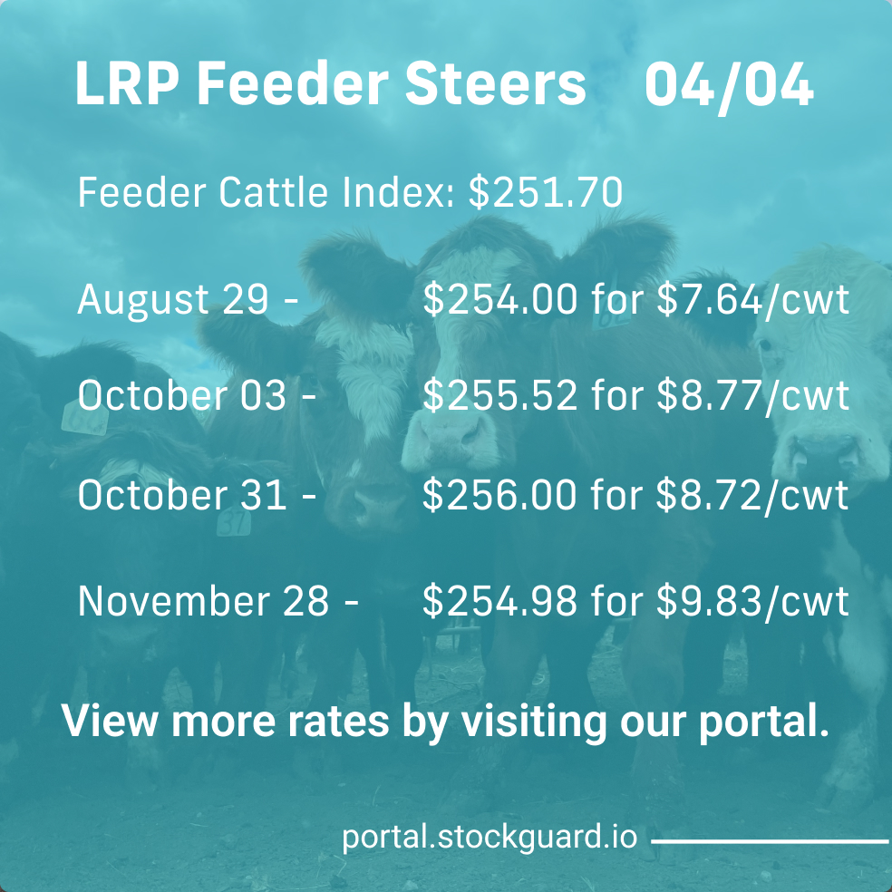 Stockguardinfo's tweet image. Thursday, April 4th LRP Rates: Stay current on today&apos;s live and feeder cattle rates–don&apos;t fall behind on the market! View live rates: hubs.ly/Q02rT_Vm0

#LivestockRiskManagement #RiskManagementTools #LivestockSafety #FarmersProtection #LivestockInsurance