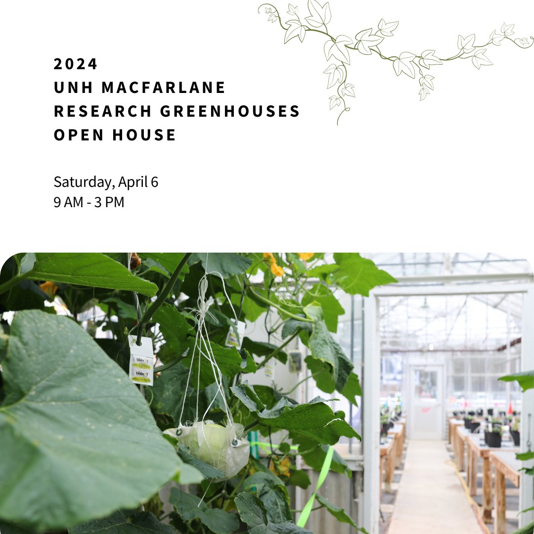 The UNH Macfarlane Research Greenhouses Open House is right around the corner! Stop by between 9 a.m. and 3 p.m. this Saturday, April 6 to liven up this very snowy spring week with a bit of greenery.🪴 More info here: colsa.unh.edu/greenhouse