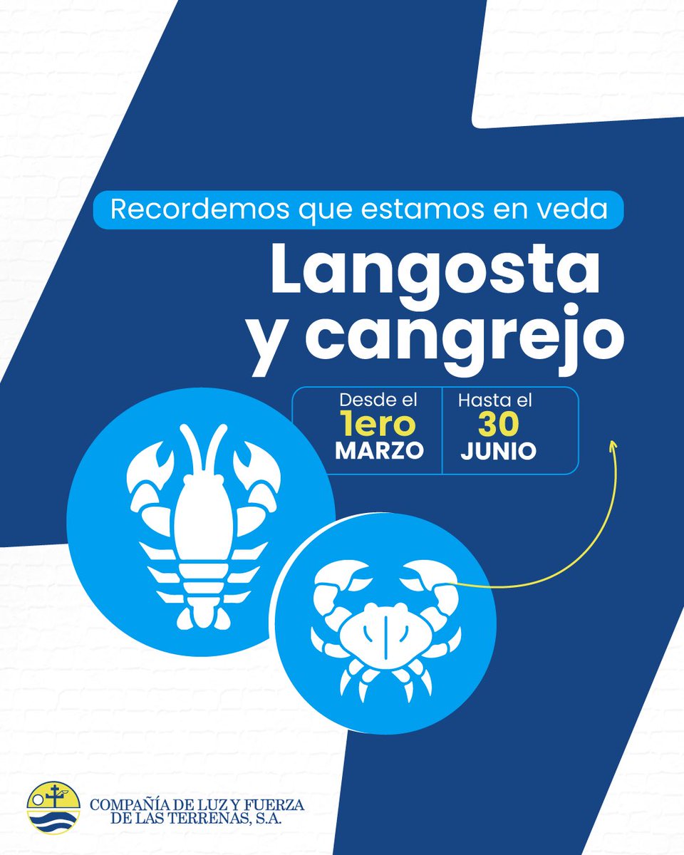 LuzyFuerza LT (@luzyfuerzalt) on Twitter photo 