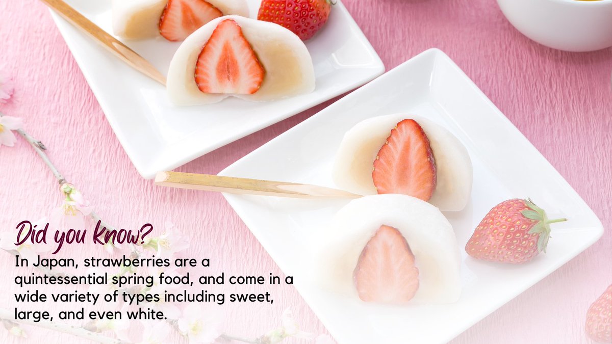 From diverse varieties to starring roles in festivities, these berries rule the season! 🍓 #JapaneseCulture #SpringInJapan