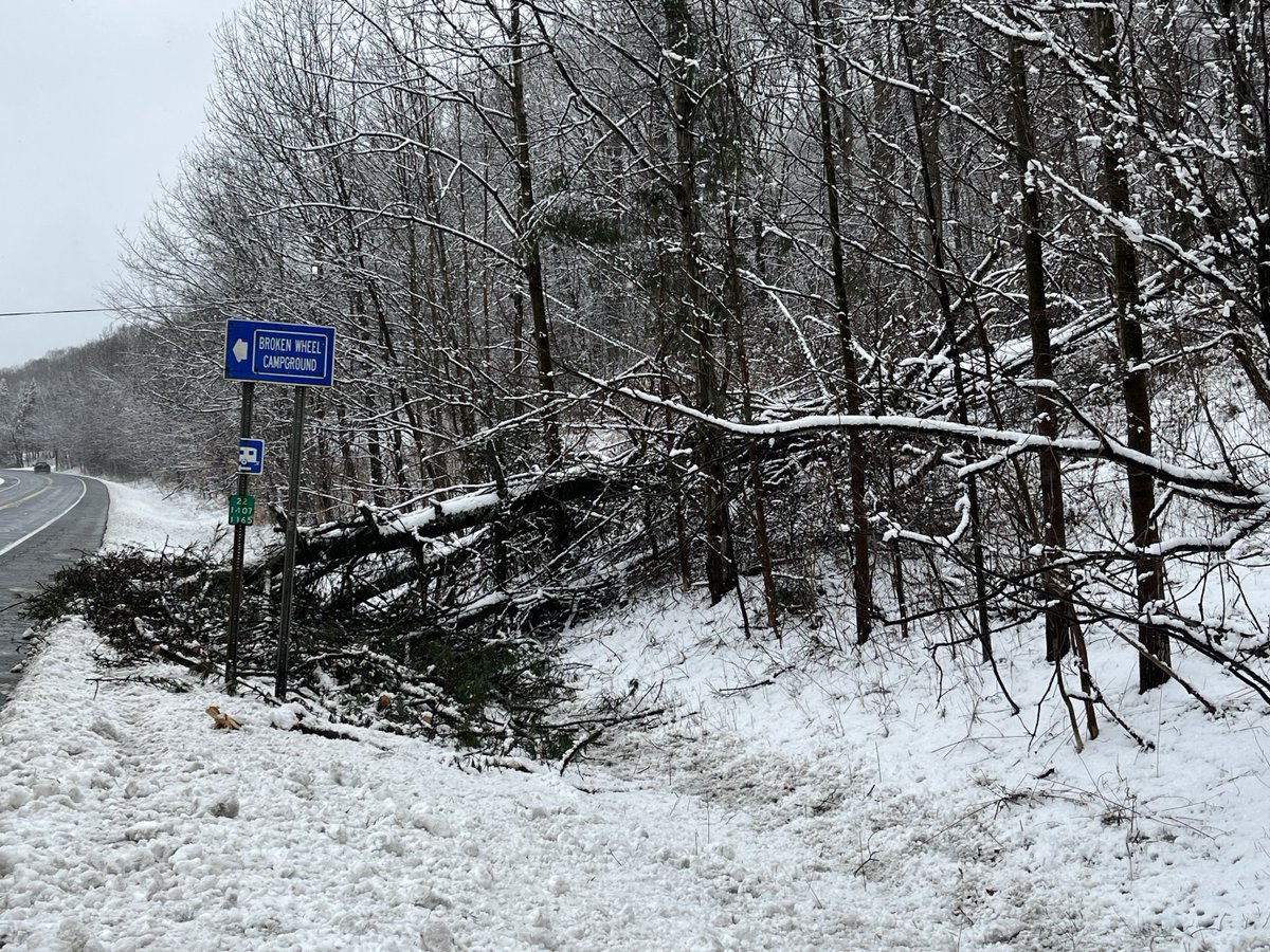 Capital Region update: There's extensive damage throughout the region, including that pictured here in Rensselaer County, that is labor- and time-intensive to clean-up. Our crews are not giving up and will work until every customer is restored. ow.ly/qotG50R8QTE